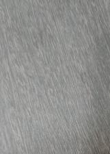Foto oficial de Jaudeni Coutinho
