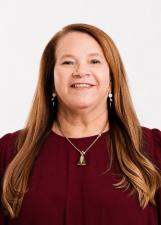 Foto oficial de Ellis Regina do Sindeprof