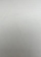 Foto oficial de BIA SOARES publicada pelo TSE